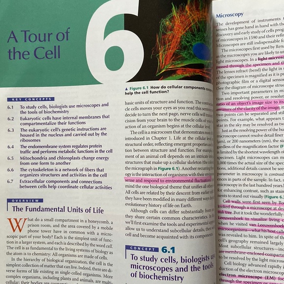 BIOLOGY • Eighth Edition • Campbell and Reece - Picture 2 of 3